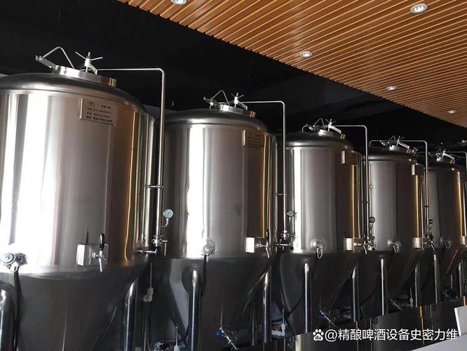 拜城开精酿吧原浆自酿啤酒设备多少钱一套？家用商用怎么选不踩坑